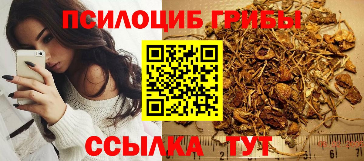Кандалакша  купить наркотик  Вход с VPN  Псилоцибиновые грибы Magic Shrooms 