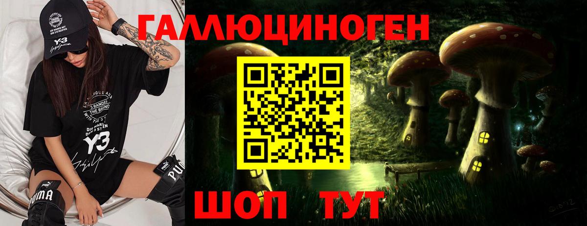 Галлюциногенные грибы Psilocybine cubensis Кандалакша